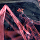 A screenshot by Sony Online Entertainment to congratulate players on the Sleeper’s death